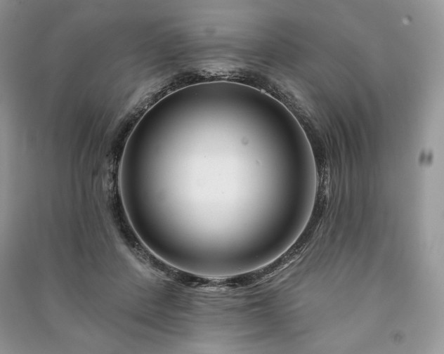 X0000090970408200708091441