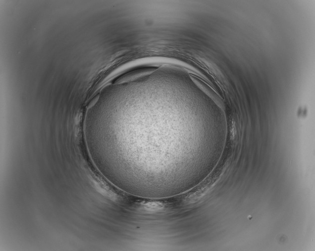 X0000090970409200708091440