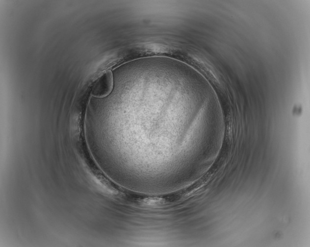 X0000090970410200708091440