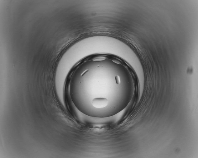 X0000090970411200708091440