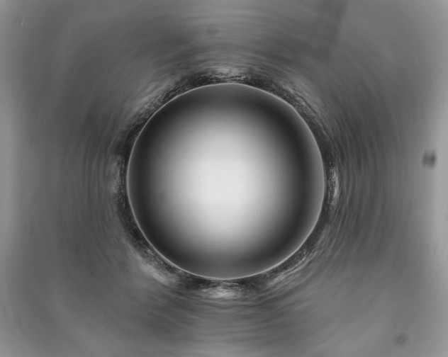 X0000090970412200708091440