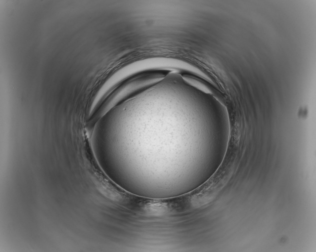 X0000090970413200708091440