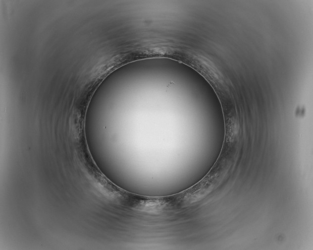 X0000090970414200708091440