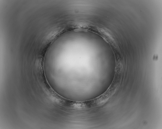 X0000090970415200708091440