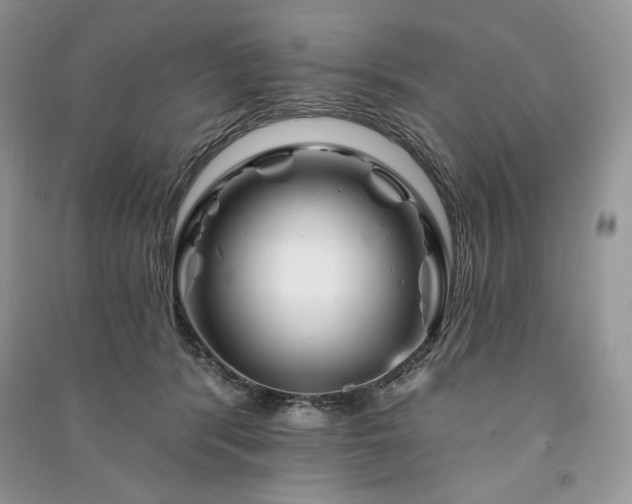 X0000090970416200708091440