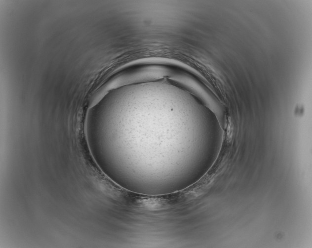 X0000090970417200708091440