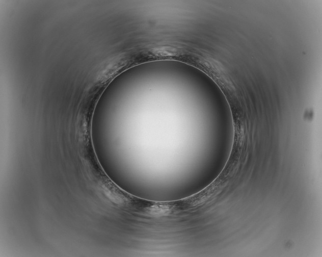 X0000090970418200708091440