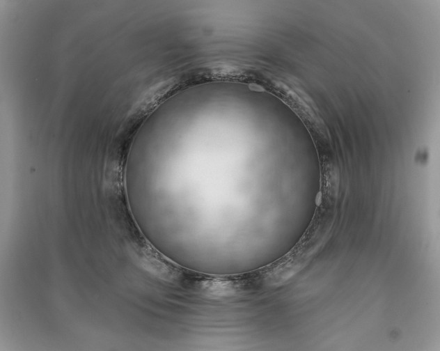 X0000090970419200708091440