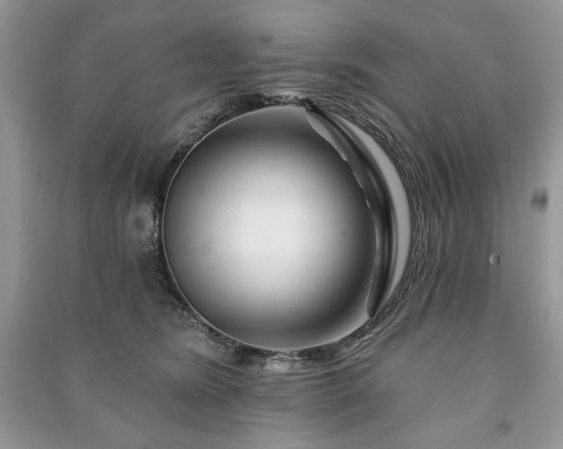 X0000090970420200708091440