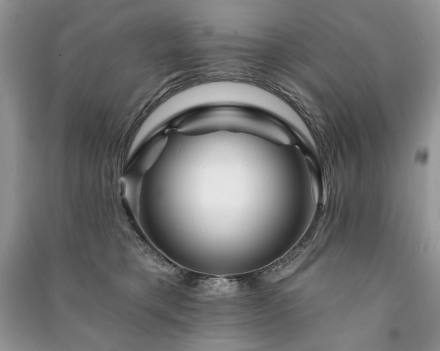 X0000090970421200708091440