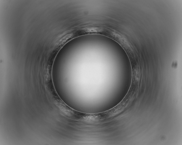 X0000090970422200708091440