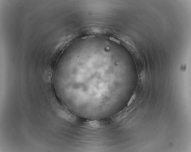 X0000090970423200708091440