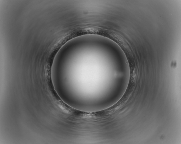 X0000090970424200708091440