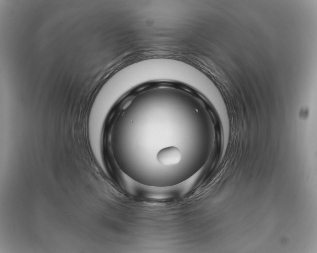 X0000090970425200708091440