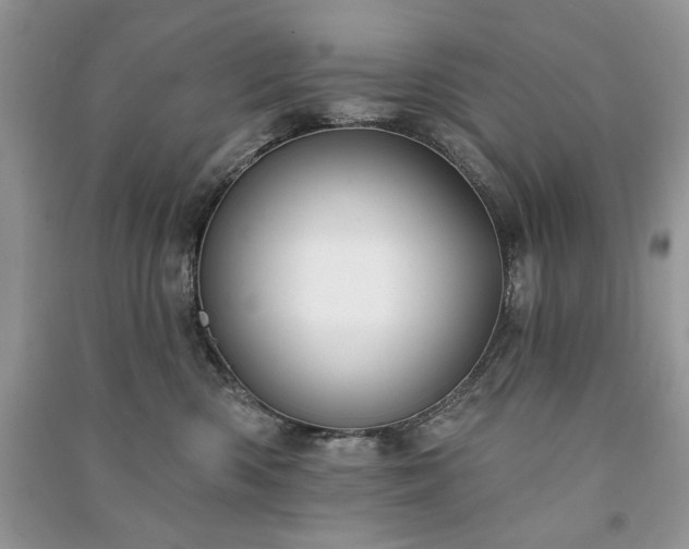 X0000090970426200708091440