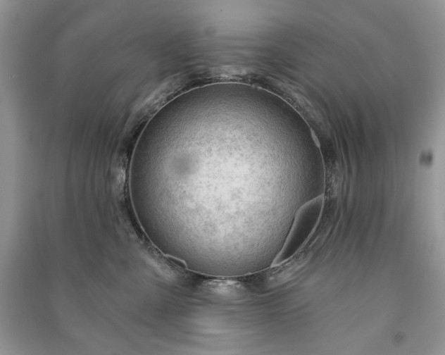 X0000090970427200708091440