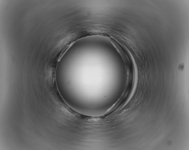 X0000090970428200708091440