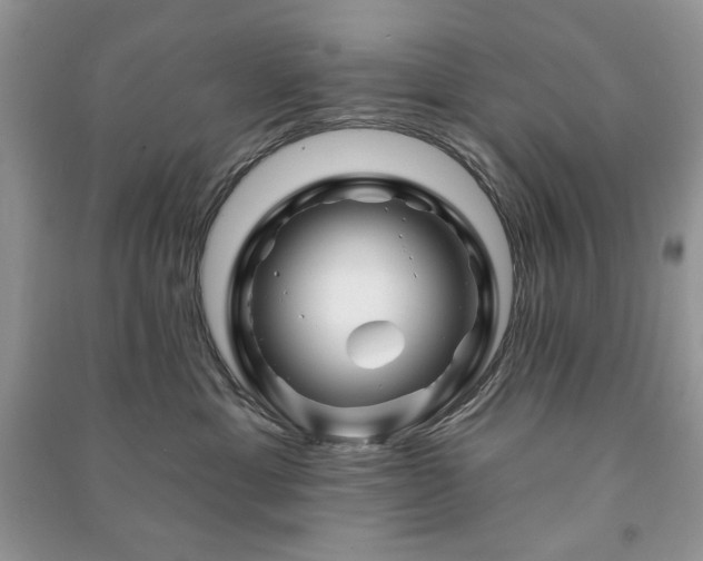 X0000090970429200708091440