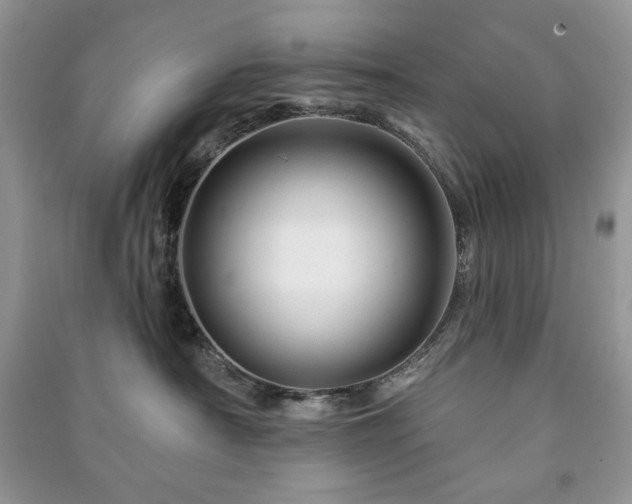 X0000090970430200708091440