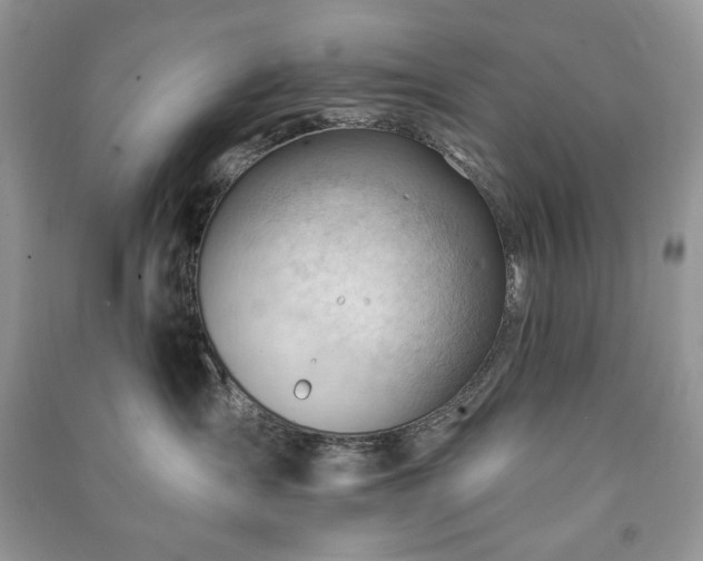 X0000090970431200708091440