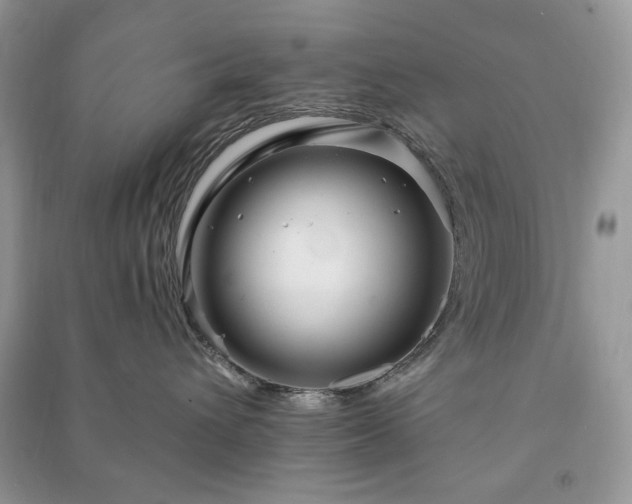 X0000090970432200708091440