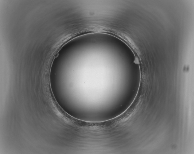 X0000090970433200708091440