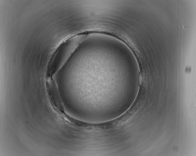 X0000090970434200708091440