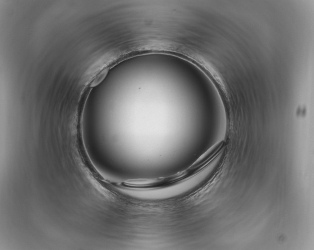 X0000090970437200708091440