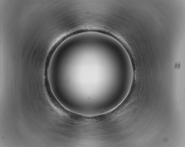 X0000090970438200708091440