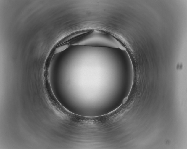 X0000090970439200708091440