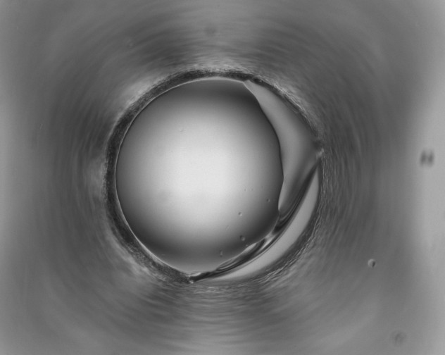 X0000090970440200708091440