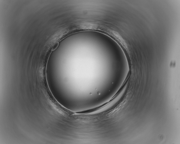 X0000090970441200708091440