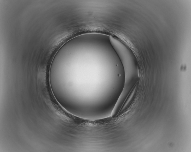 X0000090970442200708091440