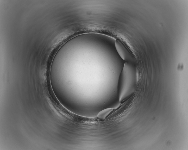 X0000090970443200708091440