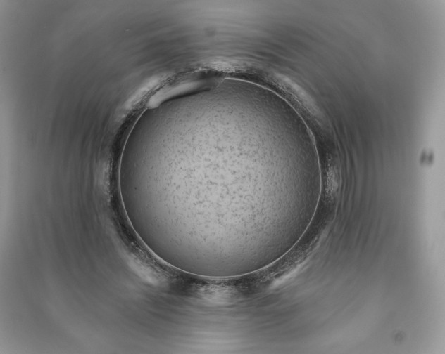 X0000090970444200708091440