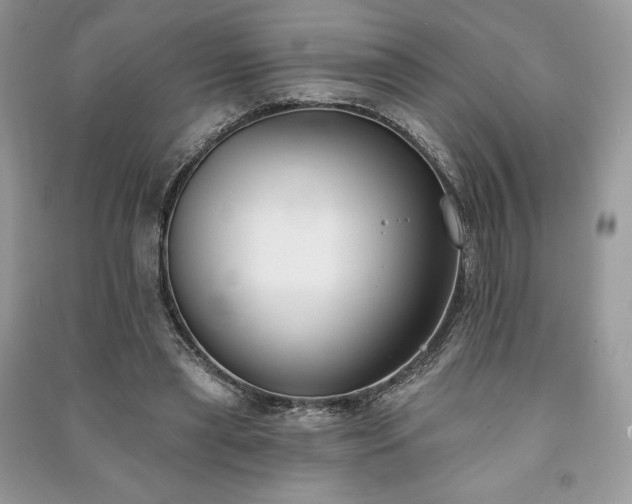 X0000090970445200708091440