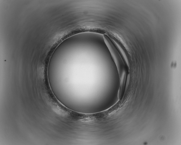 X0000090970447200708091440