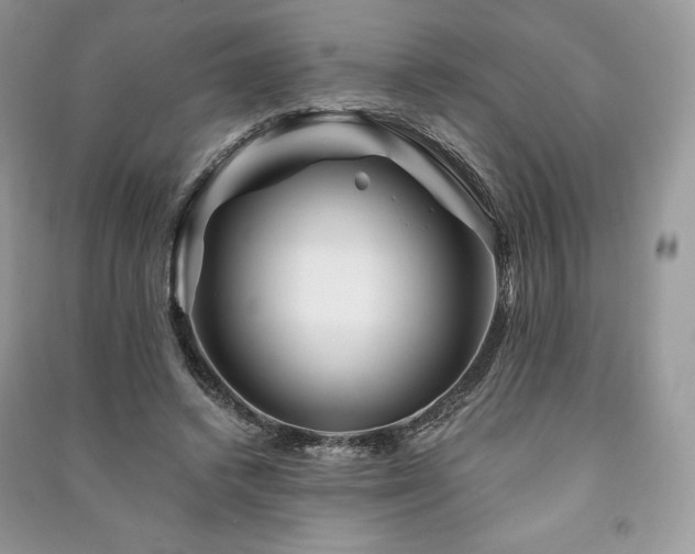 X0000090970448200708091440