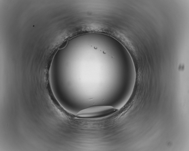 X0000090970449200708091440