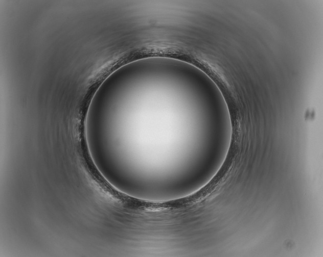 X0000090970450200708091440