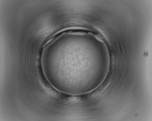 X0000090970451200708091440