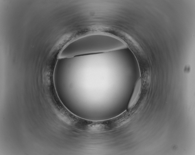 X0000090970452200708091440