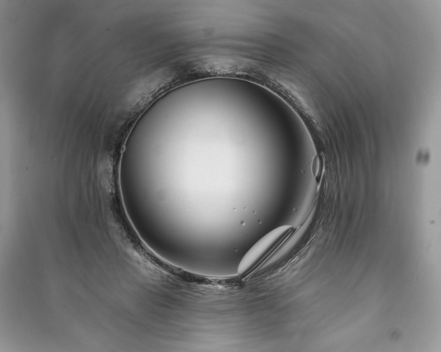 X0000090970453200708091440