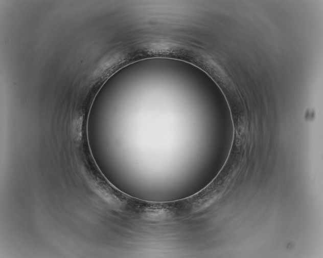 X0000090970454200708091440