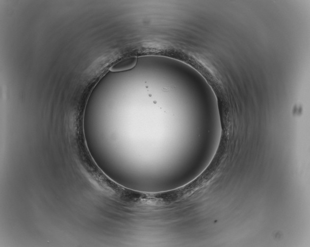 X0000090970455200708091440