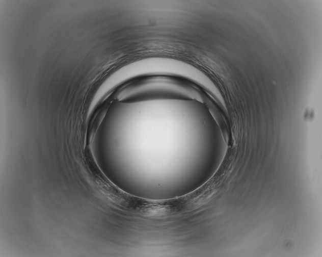 X0000090970456200708091440