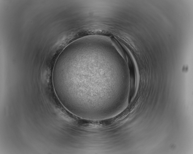 X0000090970458200708091440