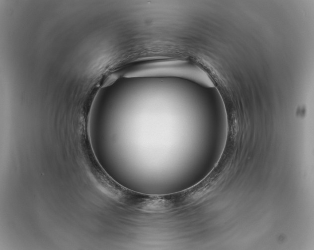 X0000090970459200708091440