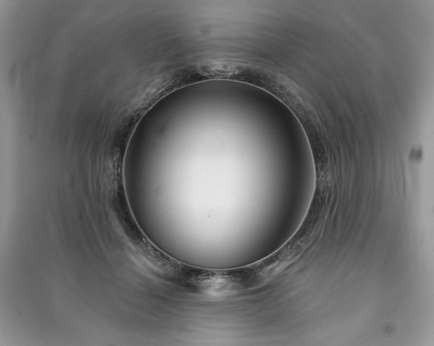 X0000090970460200708091440