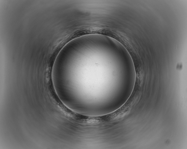 X0000090970462200708091440